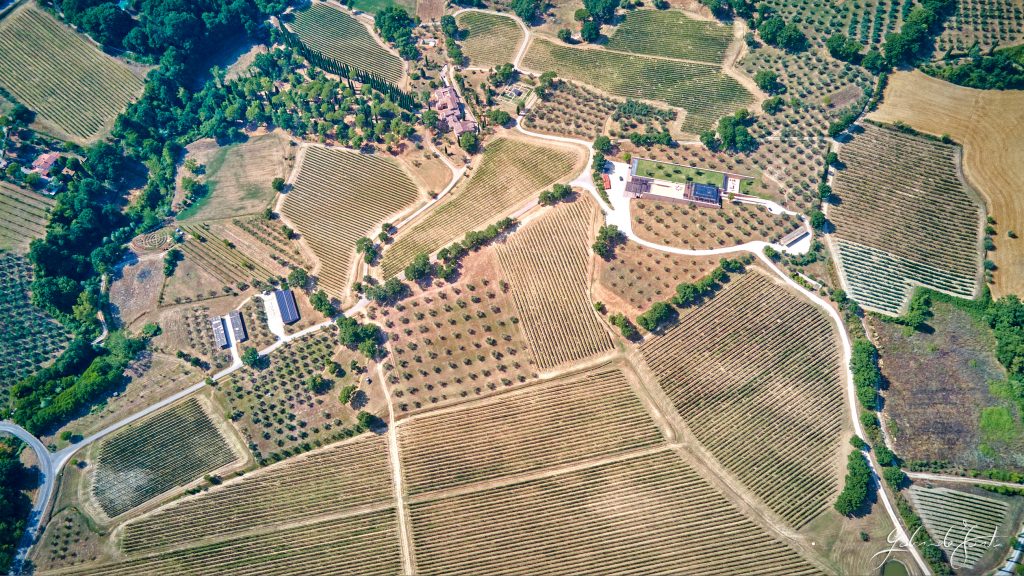 Vigna poder nuovo Palzzone